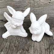 S1916 - 2 Bunnies 