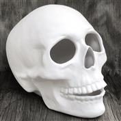 S1880- Large Halloween Skull 26x17x20cmH